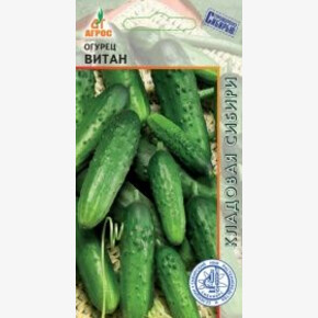 Огурец Витан 10шт* КС, Россия, ср/спел./ Агрос