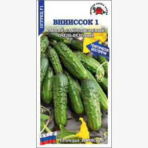Огурец Вкустик /Сотка/ 7шт