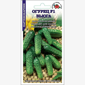Огурец Вьюга /Сотка/ 0,2/ гран.партен.6-10см
