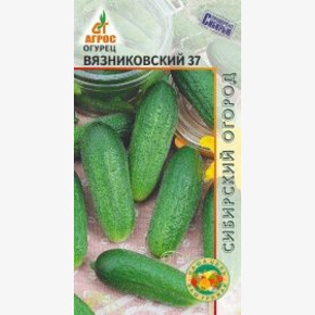 Огурец Вязниковский 37 10шт*, Россия, ран/ Агрос