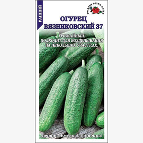 Огурец Вязниковский/ Сотка