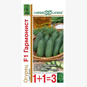 Огурец Гармонист/ Гавриш 1+1