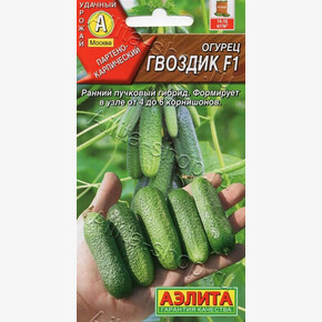 Огурец Гвоздик /Аэлита