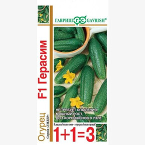 Огурец Герасим/ Гавриш 1+1
