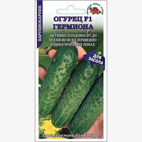 Огурец Гермиона /Сотка/ 5шт