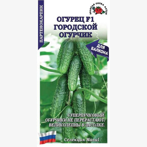 Огурец Городской огурчик /Сотка/ 5 шт