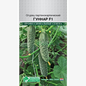 Огурец ГУННАР (5 шт) /Enza Zaden/ Евросемена