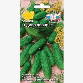 Огурец Диво дивное /Седек