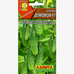 Огурец Домовой 10шт/ Аэлита