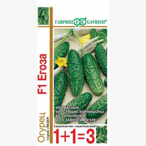 Огурец Егоза/ Гавриш 1+1