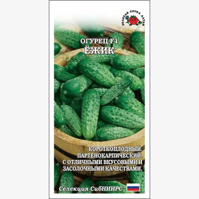 Огурец Ежик /Сотка/ 5 шт