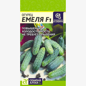 Огурец Емеля F1/Сем Алт/цп 5 шт.