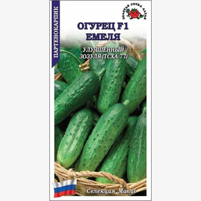 Огурец Емеля/ Сотка