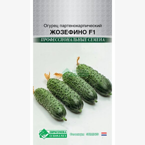 Огурец ЖОЗЕФИНО 5 шт/ Евросемена