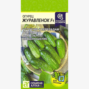 Огурец Журавленок F1/Сем Алт/цп 0,3 гр.