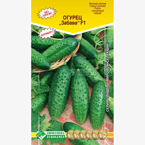 Огурец Забава/ Евросемена