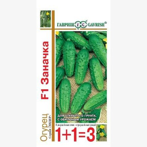 Огурец Заначка/ Гавриш 1+1