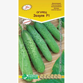 Огурец ЗОЗУЛЯ (10 шт)/ Евросемена