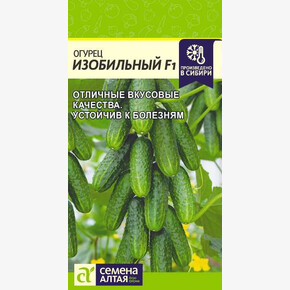 Огурец Изобильный F1/Сем Алт/цп 0,3 гр.