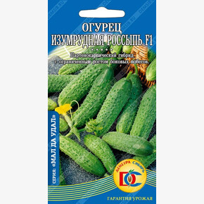 Огурец Изумрудная Россыпь/ Деметра