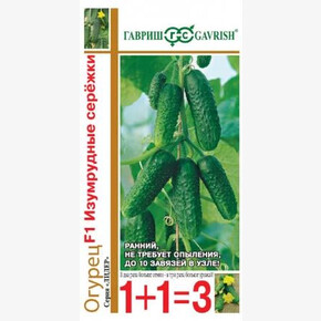 Огурец Изумрудные Сережки 1+1/ Гавриш