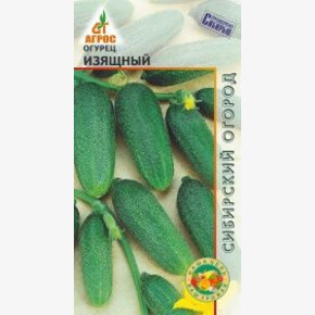 Огурец Изящный 10шт* откр, Россия, ран/ Агрос