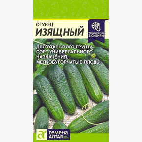 Огурец Изящный/ Семена Алтая 0,5 гр.