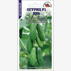 Огурец Ира /Сотка/ 10 шт/ул.рн.8-10см/