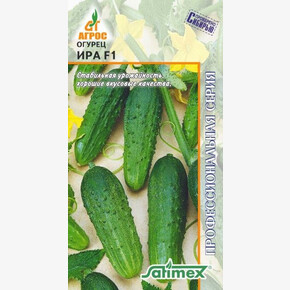 огурец Ира F1