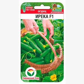Огурец Ирека 5шт/ Сибсад