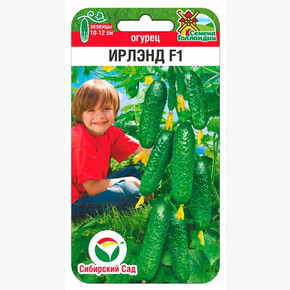 Огурец Ирлэнд 5шт/ Сибсад