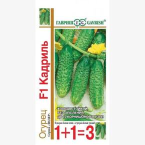 Огурец Кадриль 1+1 /Гавриш