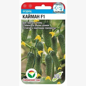Огурец Кайман F1 7шт Сиб Сад