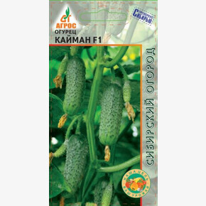 Огурец Кайман F1 8шт*, Италия, / Агрос