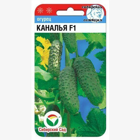 Огурец Каналья F1 7шт Сиб сад