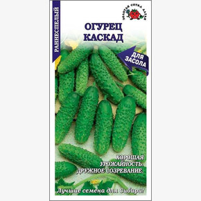 Огурец Каскад /Сотка/ 0,5 г/рн.13-15см/