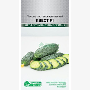 Огурец Квест F1/ Евросемена