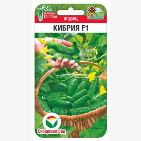 Огурец Кибрия 5шт/ Сибсад