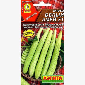 Огурец китайский Белый змей 10шт/ Аэлита