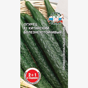 Огурец Китайский Болезнеустойчивый/Седек/цп