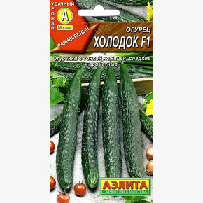 Огурец Китайский Холодок 7шт/ Аэлита