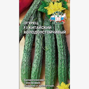 Огурец Китайский Холодоустойчивый /Седек/