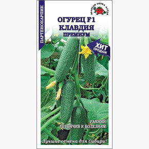 Огурец Клавдия Премиум/ Сотка