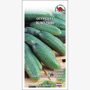 Огурец Клодин /Сотка/ 5 шт