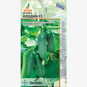 Огурец Клодин F1 8шт* Seminis, Перу, сред/ Агрос