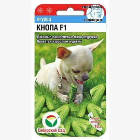 Огурец КНОПА 7шт/ Сибсад