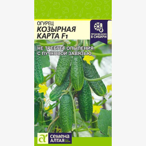 Огурец Козырная Карта F1/Сем Алт/цп 5 шт.