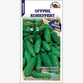 Огурец Конкурент/ Сотка