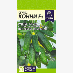 Огурец Конни/ Семена Алтая 6 шт.