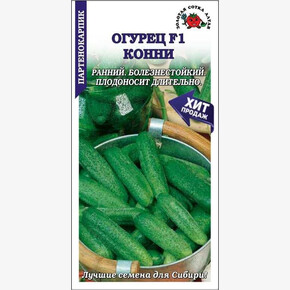 Огурец Конни/ Сотка